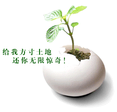 欢迎致电